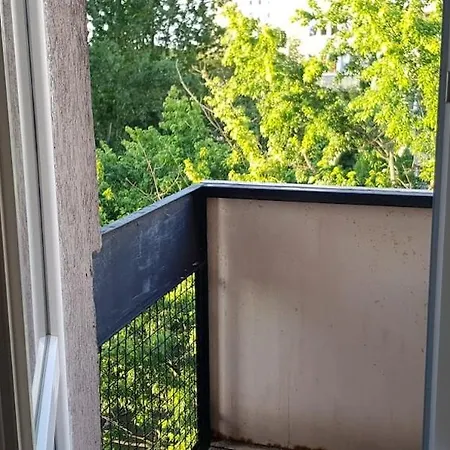 Center Prozna Street *